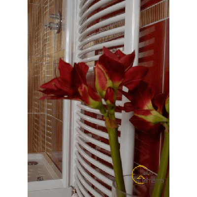 Thermal Trend KDO Rankšluosčių džiovintuvas, baltos spalvos