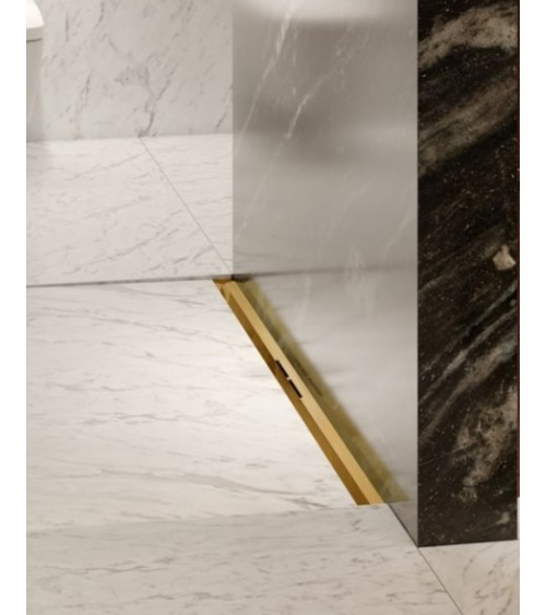 TECE drainprofile dušo latako grotelės (PVD spalvos)