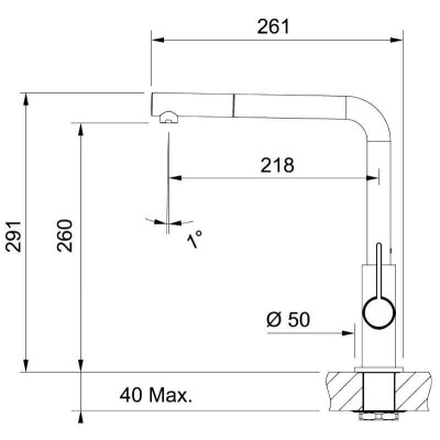 Franke Bat Neptune-evo virtuvinis maišytuvas su ištraukiama žarna