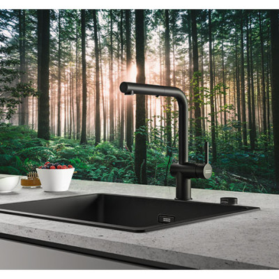 Franke Active L maišytuvas su ištraukiamu dušeliu, pasirenkama spalva