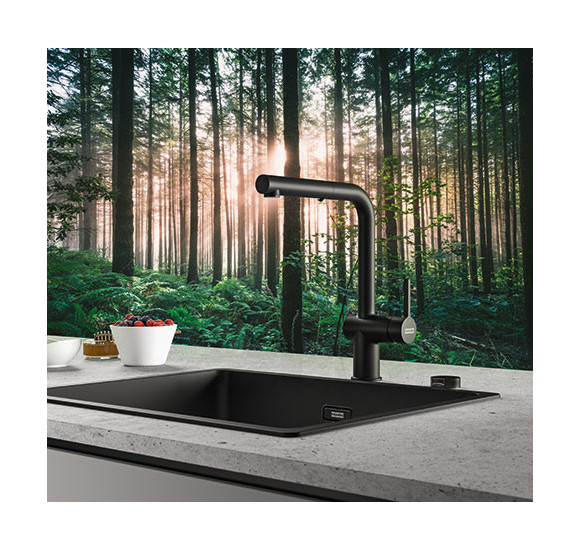 Franke Active L maišytuvas su ištraukiamu dušeliu, pasirenkama spalva