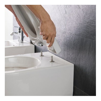 LAUFEN Pro New pakabinamas unitazas 'Rimless', su 'SoftClose' plonu dangčiu