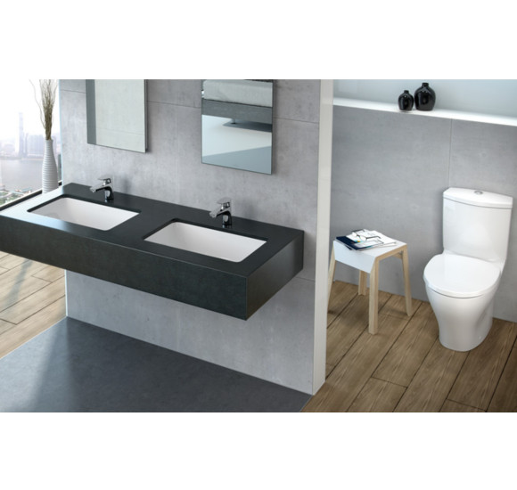 Villeroy & Boch Lunea po stalviršiu montuojamas praustuvas