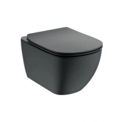 3in1 Ideal Standard Tesi klozeto komplektas su "soft close" dangčiu ir WC rėmu (juodos sp.)