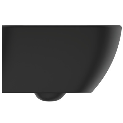 3in1 Ideal Standard Tesi klozeto komplektas su "soft close" dangčiu ir WC rėmu (juodos sp.)