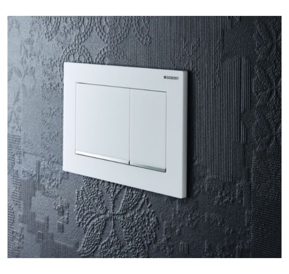 IŠPARDAVIMAS. Geberit wc nuleidimo mygtukas Omega 30, baltos sp.