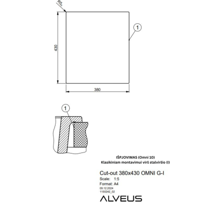 ALVEUS Omni 10 granitinė plautuvė (Black Edition)