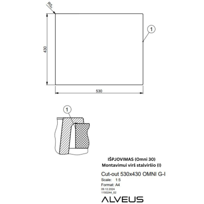 ALVEUS Omni 30 granitinė plautuvė (Black Edition)