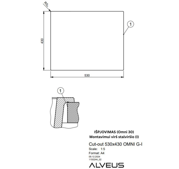 ALVEUS Omni 30 granitinė plautuvė (Black Edition)