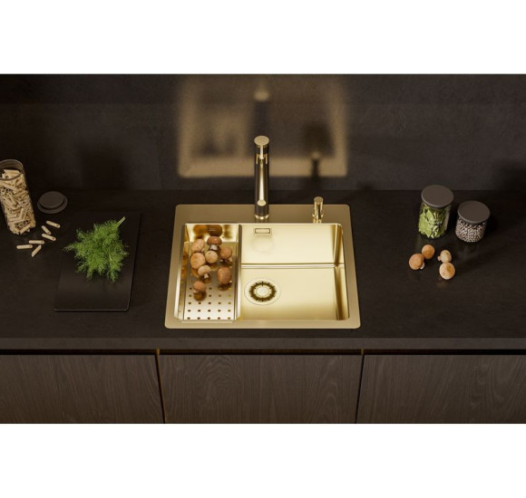 ALVEUS Monarch Pure 70 nerūdijančio plieno plautuvė