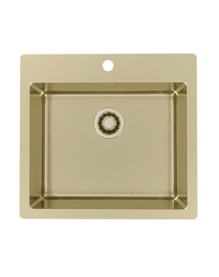 ALVEUS Monarch Pure 70 nerūdijančio plieno plautuvė