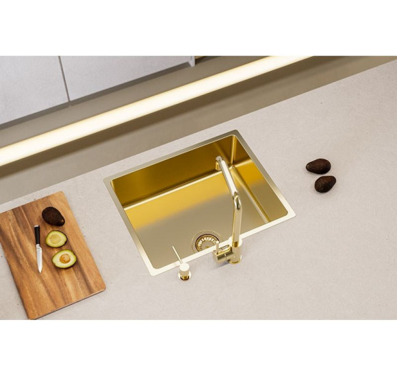 ALVEUS Monarch Kombino 50 nerūdijančio plieno plautuvė (montuojama lygiai su stalviršiu arba virš jo)