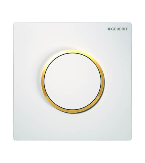 Geberit pisuaro pneumatinis mygtukas Type10