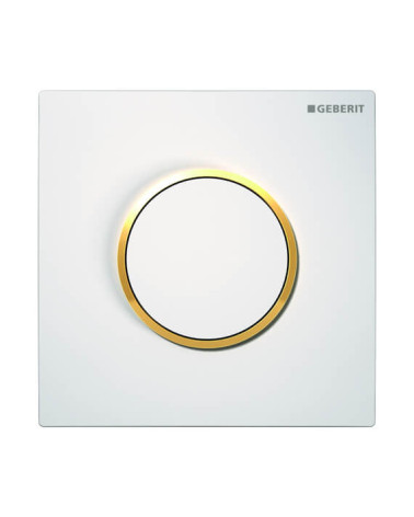 Geberit pisuaro pneumatinis mygtukas Type10