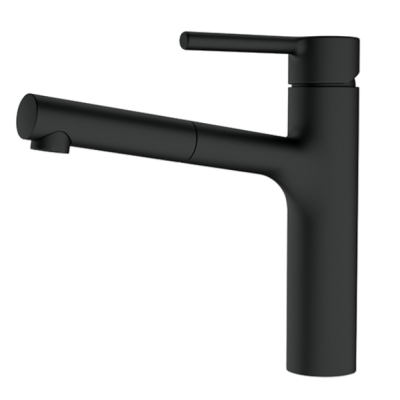 FRANKE Centro maišytuvas plautuvei su ištraukiama žarna, pasirenkama spalva