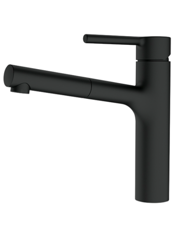 FRANKE Centro maišytuvas plautuvei su ištraukiama žarna, pasirenkama spalva