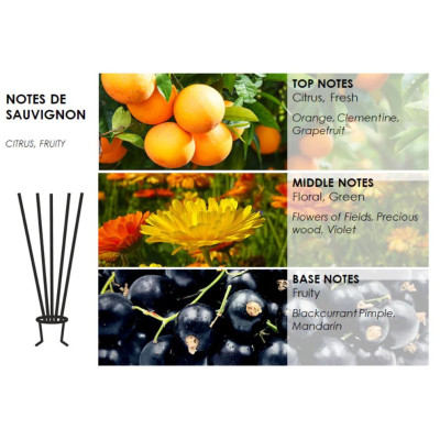 Namų kvapas PURE FLAME Adore NOTES DE SAUVIGNON, 100ml