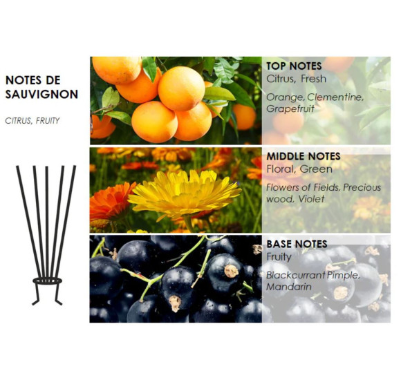 Namų kvapas PURE FLAME Adore NOTES DE SAUVIGNON, 100ml