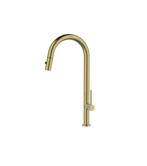 ALVEUS Nova - PS Monarch maišytuvas plautuvei su ištraukiamu dušeliu