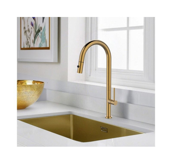 ALVEUS Nova - PS Monarch maišytuvas plautuvei su ištraukiamu dušeliu