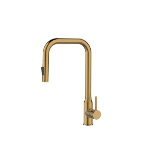 ALVEUS Bloom - PS Monarch maišytuvas plautuvei su ištraukiamu dušeliu