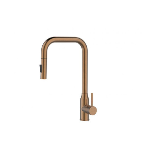 ALVEUS Bloom - PS Monarch maišytuvas plautuvei su ištraukiamu dušeliu