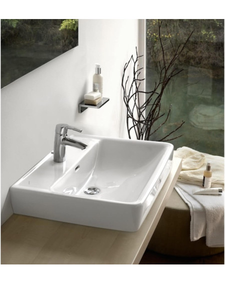 Praustuvas LAUFEN Pro S 55x46,5 cm