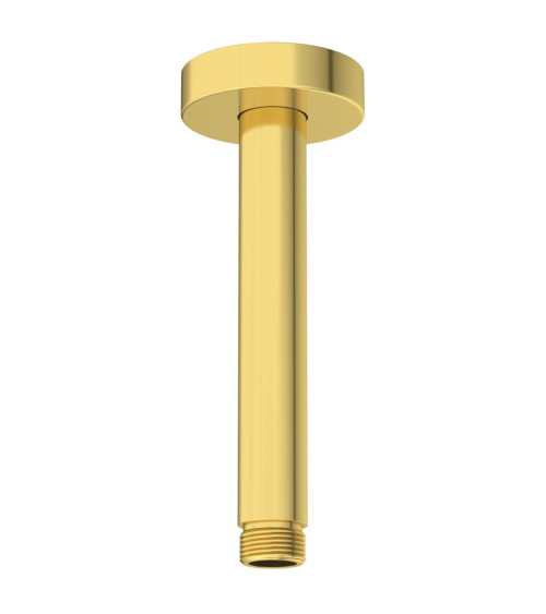 Ideal Standard Idealrain dušo galvos laikiklis iš lubų 150mm (B9446), pasirenkamos spalvos