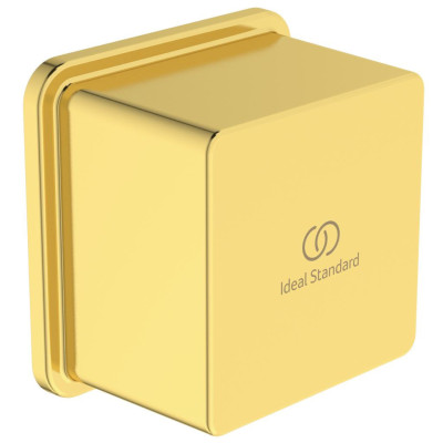 Ideal Standard Idealrain sieninė jungtis (kvadratinė) dušo žarnai (BC772), PVD spalvos