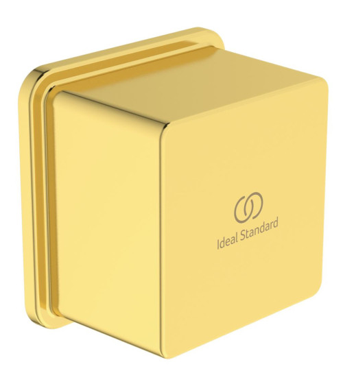 Ideal Standard Idealrain sieninė jungtis (kvadratinė) dušo žarnai (BC772), PVD spalvos