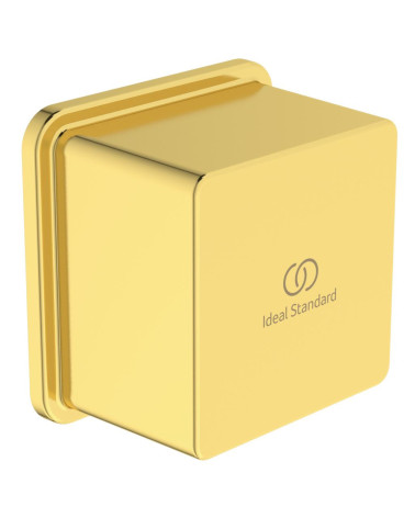 Ideal Standard Idealrain sieninė jungtis (kvadratinė) dušo žarnai (BC772), PVD spalvos