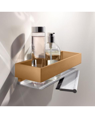 Keuco Edition 11 dušo lentynėlė su integruotu stiklų valytuvu (pasirenkamos spalvos)