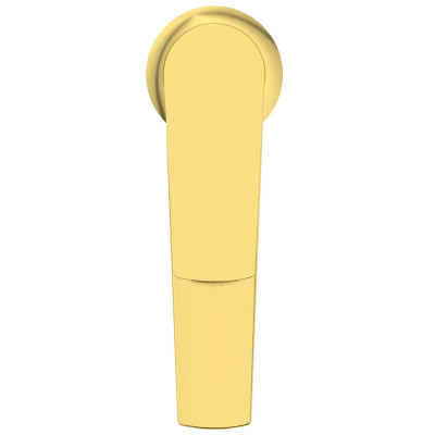 Ideal Standard La Dolce Vita praustuvo maišytuvas BD654AA, pasirinkite spalvą