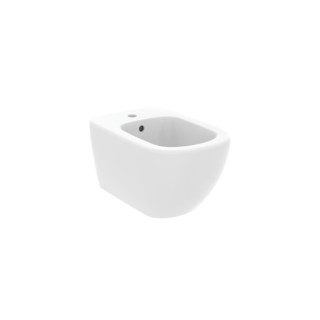 Bidė, pisuarai ir jų priedai